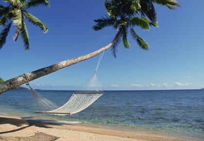 beach, hammock and coconut tree