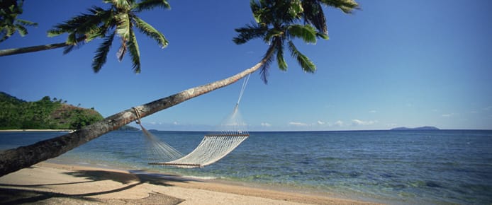 beach, hammock and coconut tree